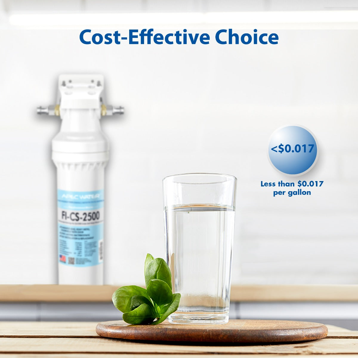 Premium Quality High Capacity Under-Counter Water Filtration System (CS-2500)