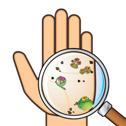 bacteria on hand